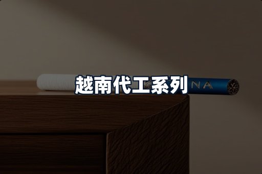 越南代工系列